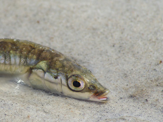 Similar image 154390