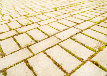 Similar image 154403