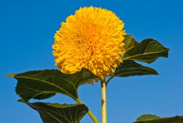 Similar image 154419