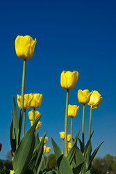 Similar image 154421