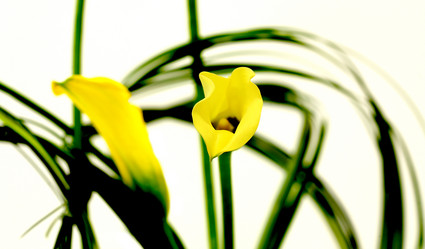 Similar image 154422