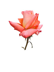 Similar image 154424