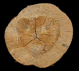 Similar image 154426