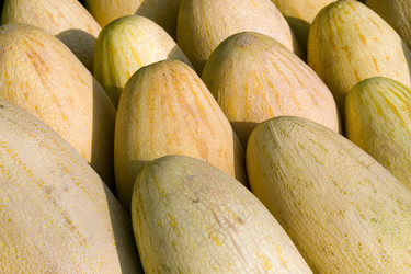 Similar image 154431