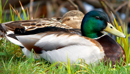 Similar image 154433