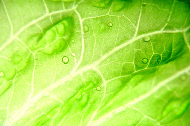 Similar image 154443