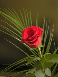 Similar image 154506