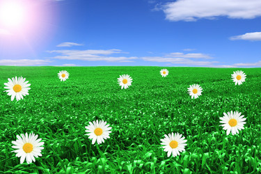 Similar image 154512