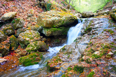 Similar image 154535