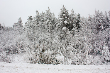 Similar image 154538