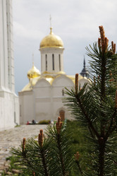 Similar image 154559