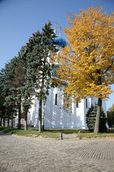 Similar image 154561