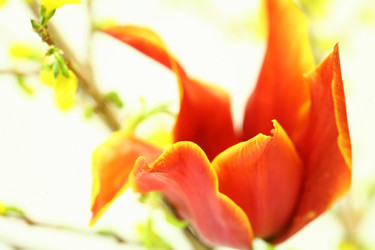 Similar image 154600