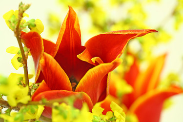 Similar image 154601