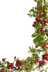 Similar image 154607