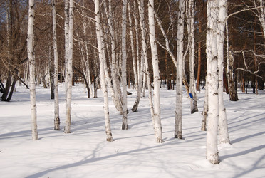 Similar image 154634