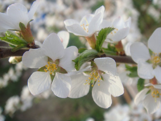 Similar image 154645