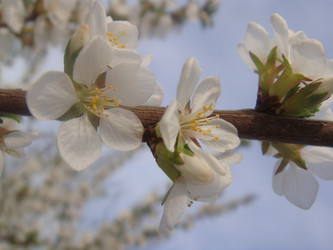 Similar image 154649