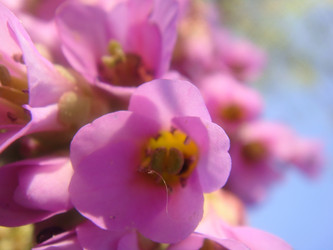 Similar image 154652