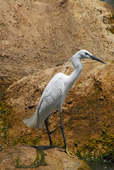 Similar image 154665