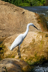 Similar image 154667