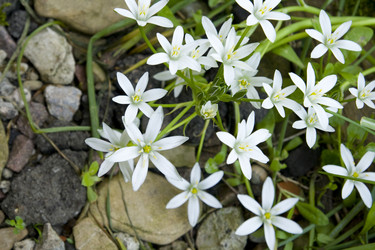 Similar image 154668