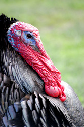 Similar image 154677