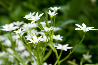 Similar image 154679