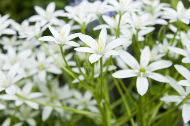 Similar image 154682