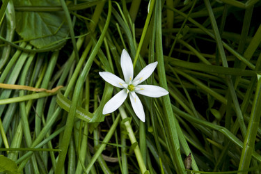 Similar image 154683