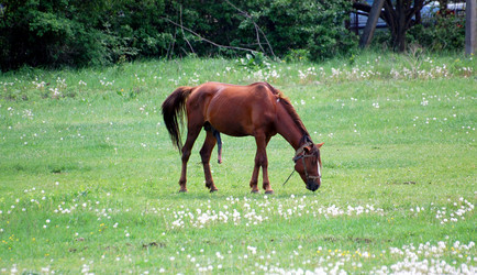 Similar image 154686