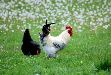 Similar image 154687