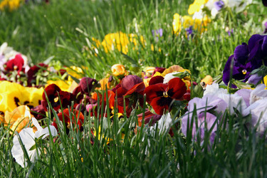 Similar image 154689