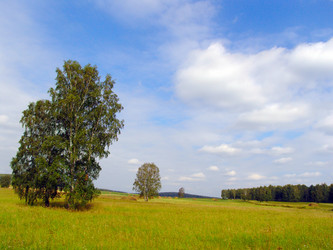 Similar image 154710