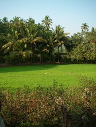 Similar image 154711