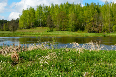 Similar image 154712