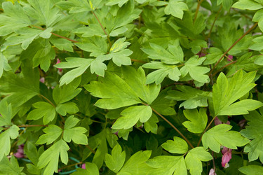 Similar image 154719