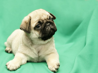 Similar image 154745