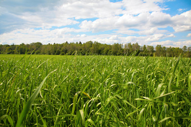 Similar image 154806