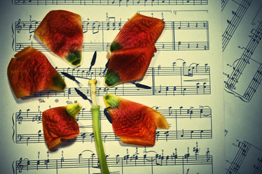 Similar image 154812