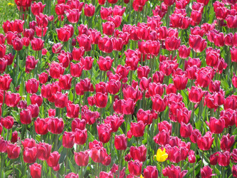 Similar image 154816