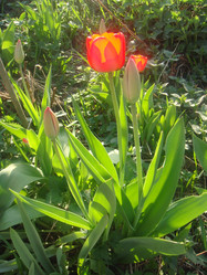 Similar image 154818