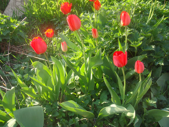 Similar image 154819