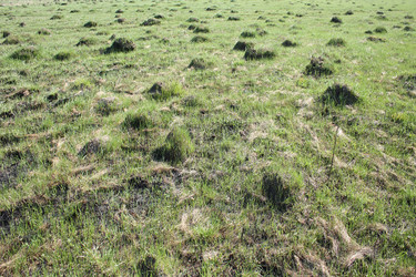 Similar image 154836