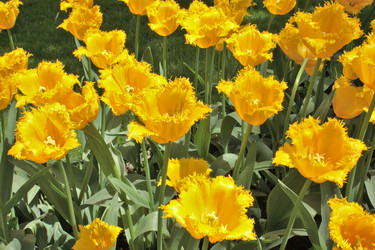 Similar image 154840