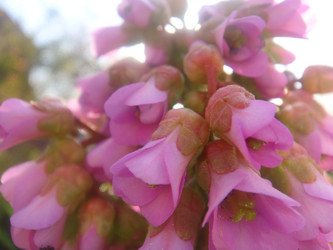 Similar image 154844