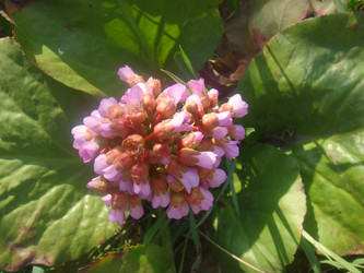 Similar image 154845