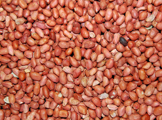 Similar image 154857