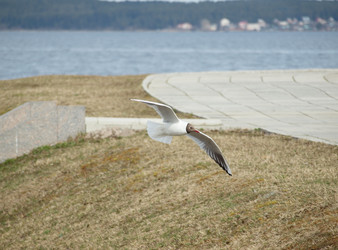 Similar image 154863