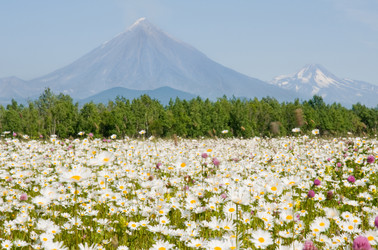 Similar image 154887